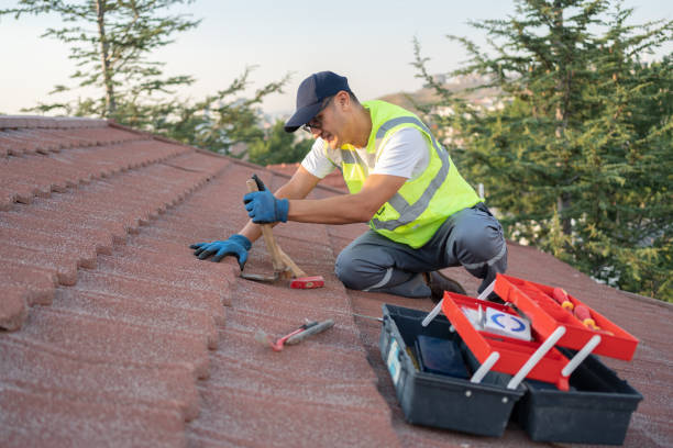 Roof Gutter Cleaning in Kewaskum, WI